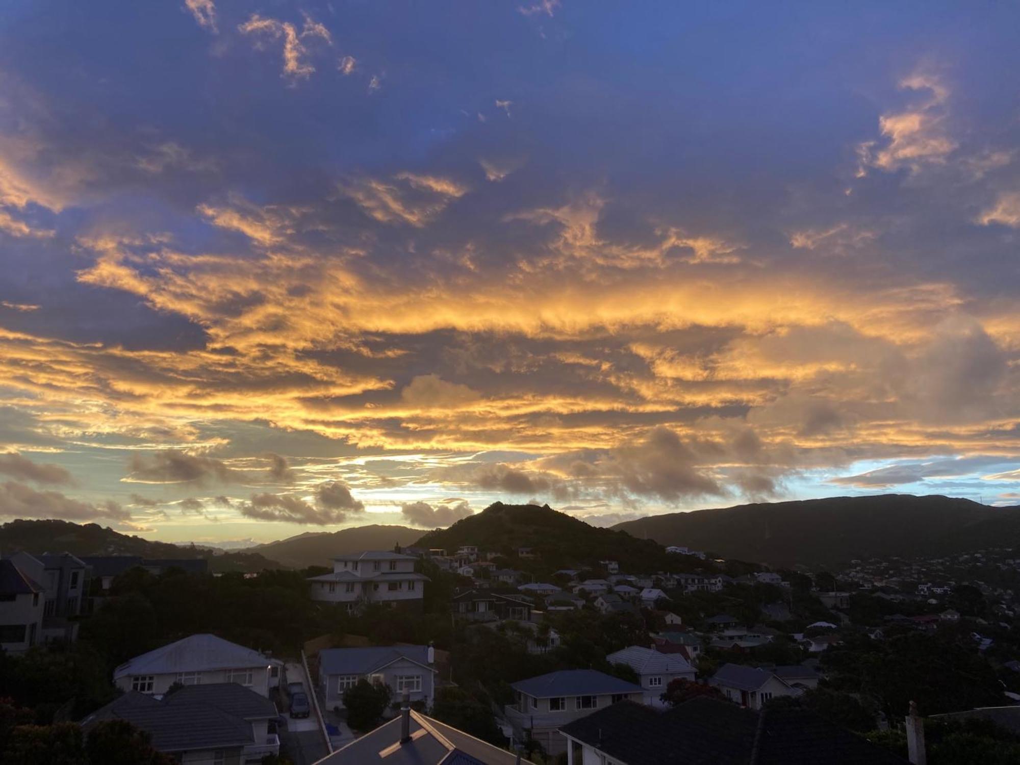 Khandallah Harbour View Bnb Wellington Exterior foto